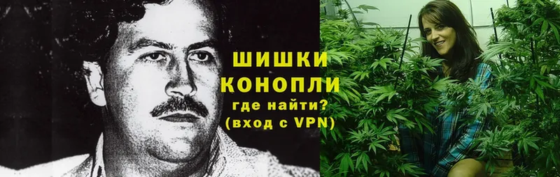 наркошоп  Балаково  Марихуана OG Kush 